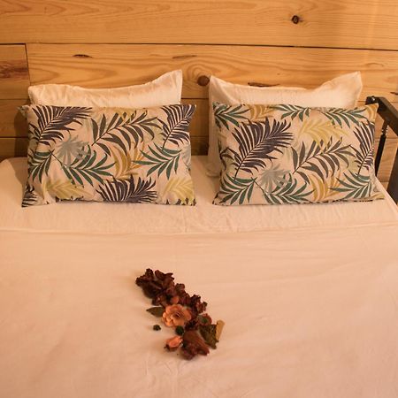Hostal Erasmus By Gaiarooms Salamanca Eksteriør billede